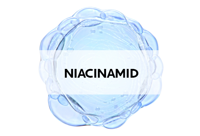 Niacinamid