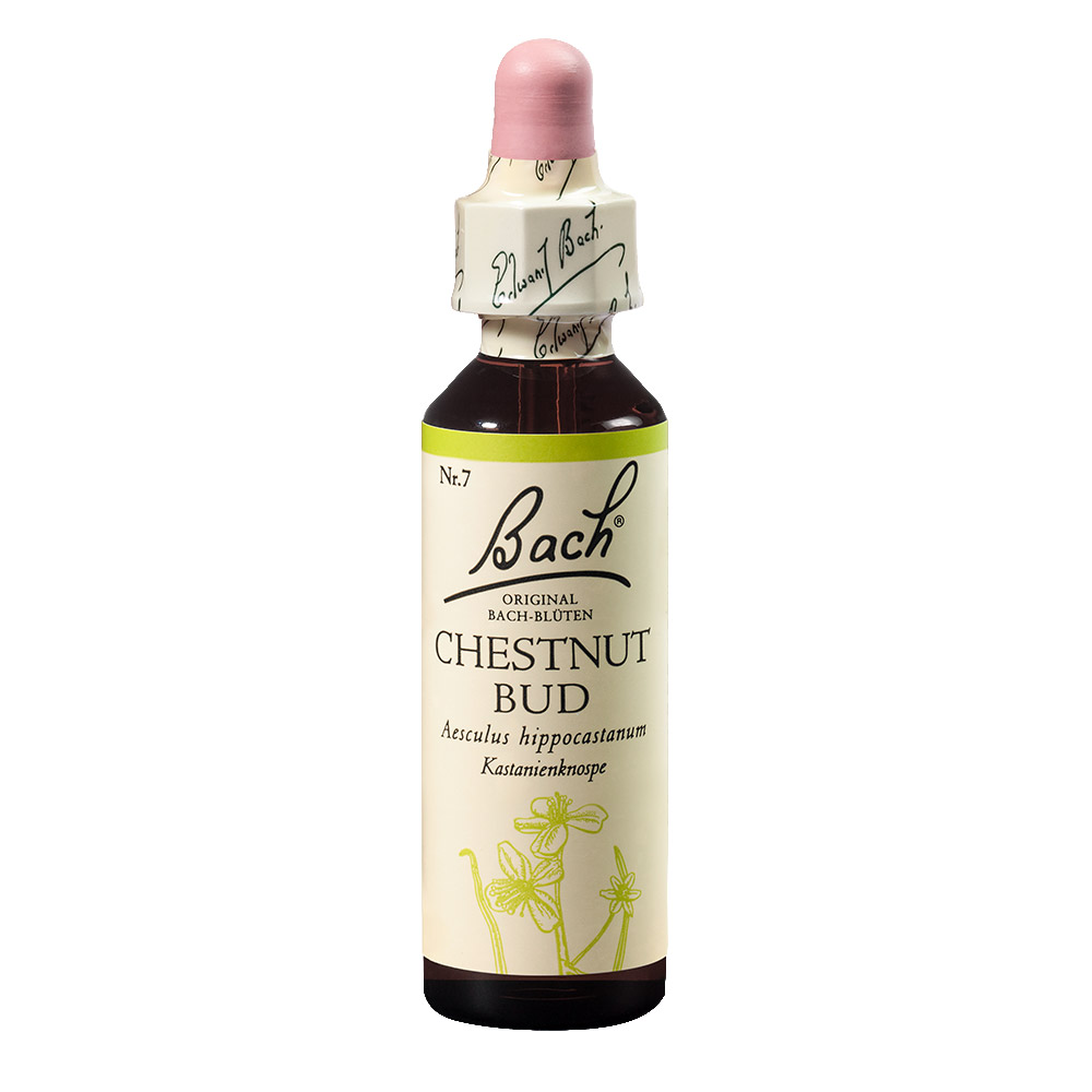 Bach Esenca št.7 - Popek divjega kostanja (Chestnut Bud), kapljice (20 ml)