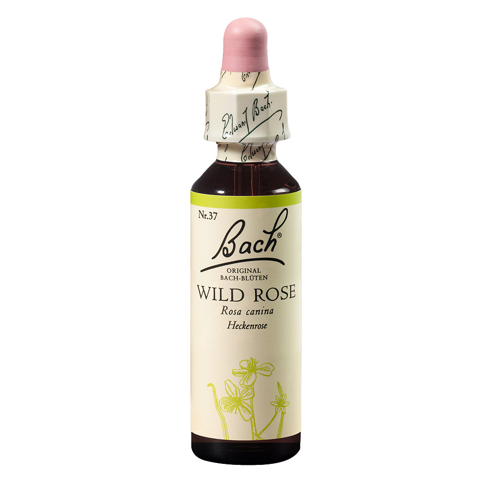 Bach Esenca št. 37 - Šipek (Wild Rose), kapljice (20 ml)