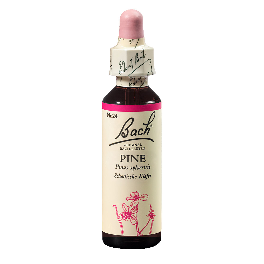Bach Esenca št. 24 - Bor (Pine), kapljice (20 ml)
