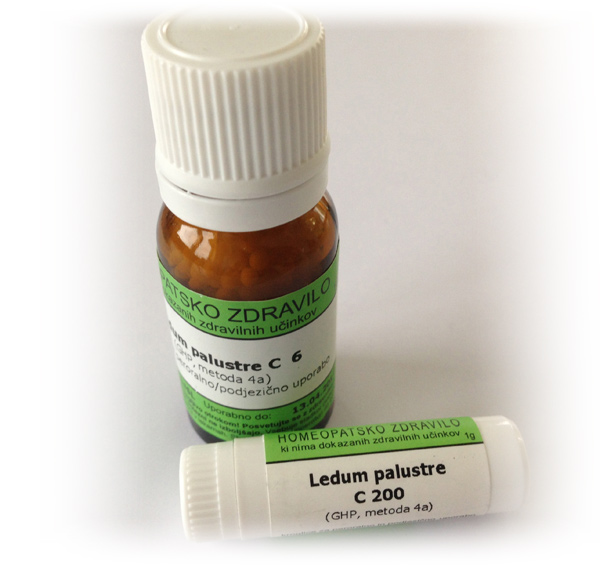 Ledum palustre, kroglice - 1 g (C12)