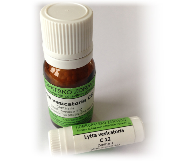 Lytta vesicatoria, kroglice - 1 g (C12)