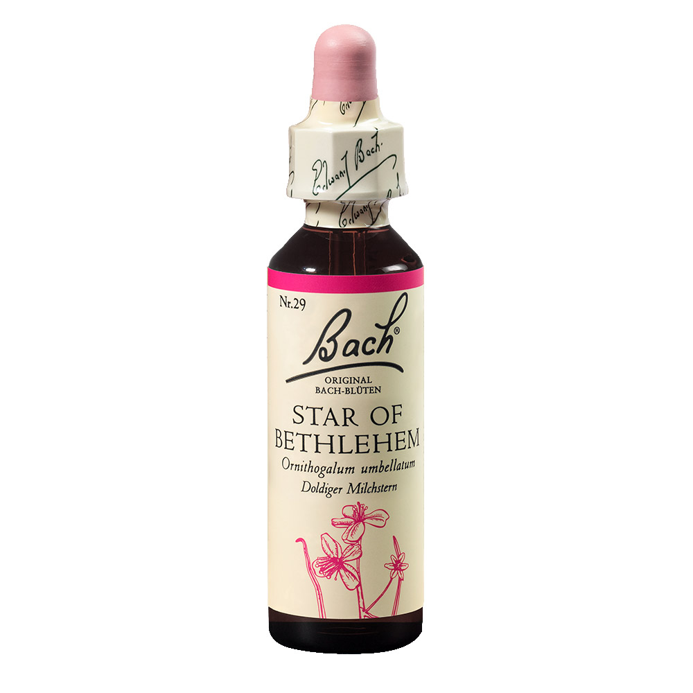 Bach Esenca št. 29 - Betlehemska zvezda (Star of Betlehem), kapljice (20 ml)