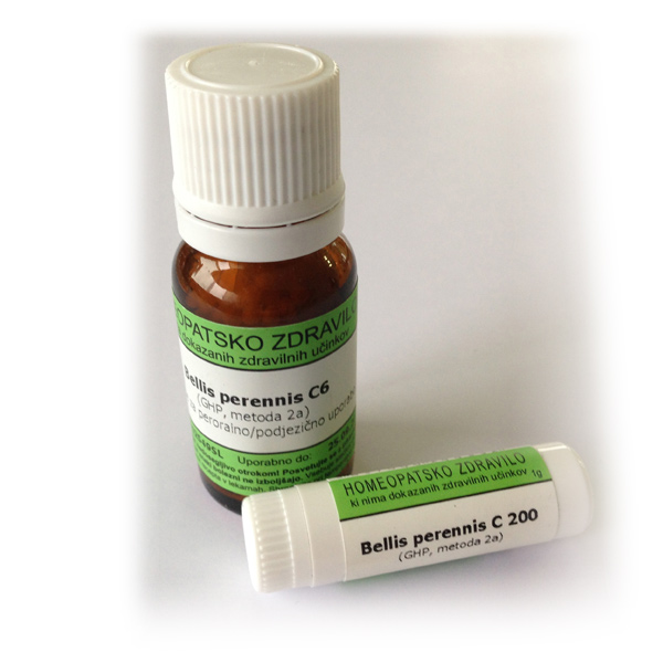 Bellis perennis, kroglice - 1 g (C200)