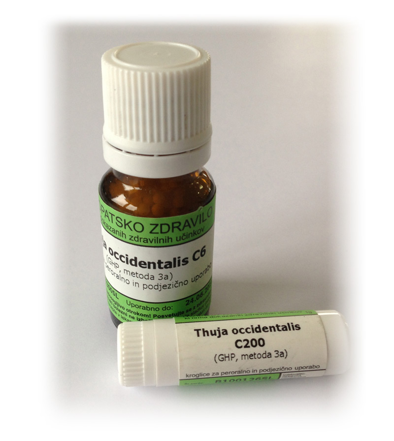 Thuja occidentalis, kroglice - 1 g (C12)