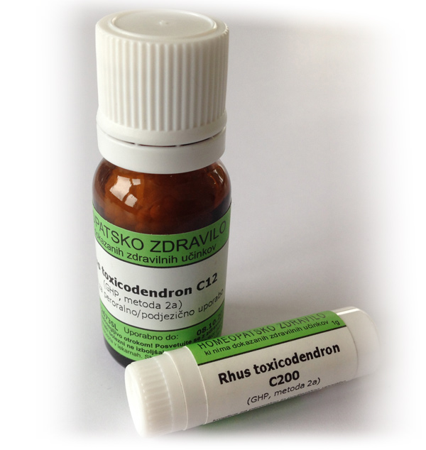 Rhus toxicodendron, kroglice - 10 g (C200)