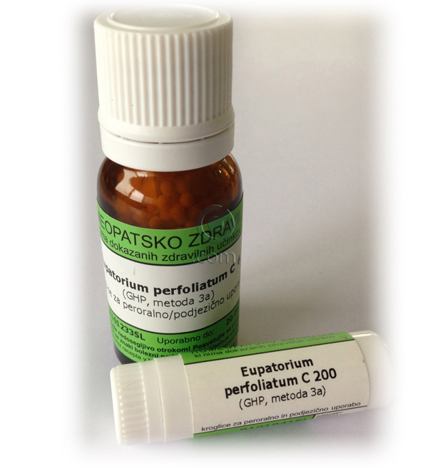 Eupatorium perfoliatum, kroglice - 1 g (C200)