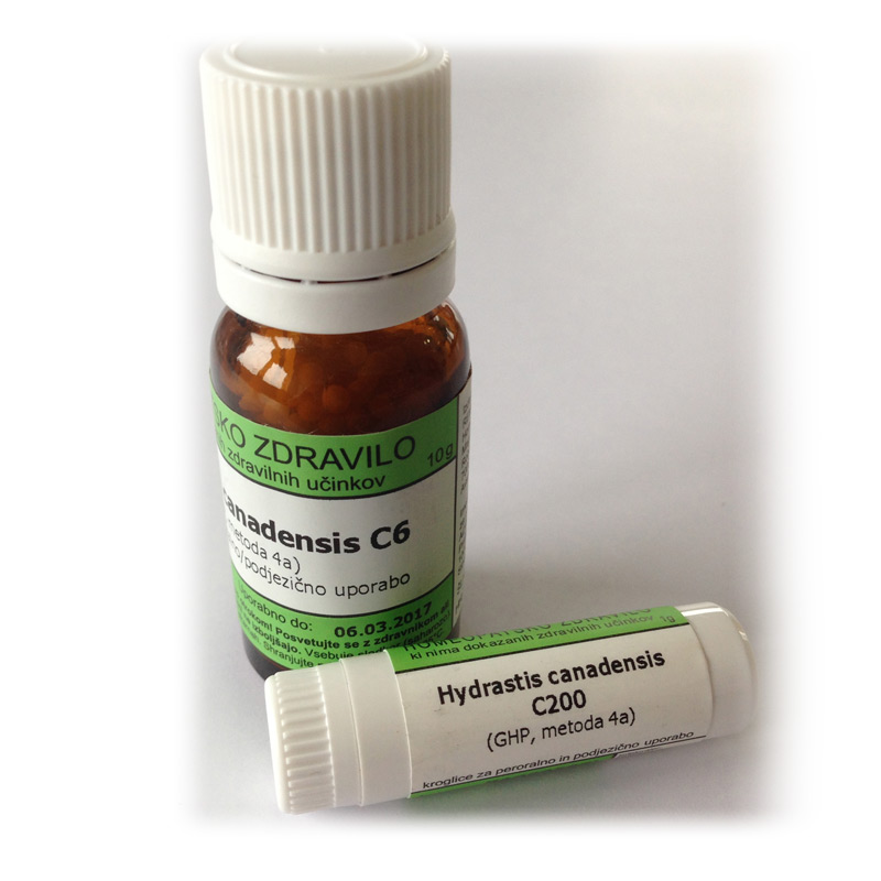 Hydrastis canadensis, kroglice - 10 g (C30)