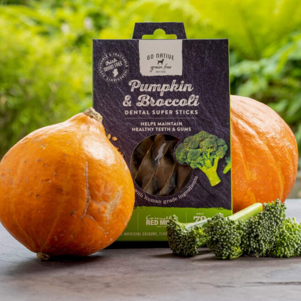 Go Native, dentalna spirala - buča in brokoli (150 g)