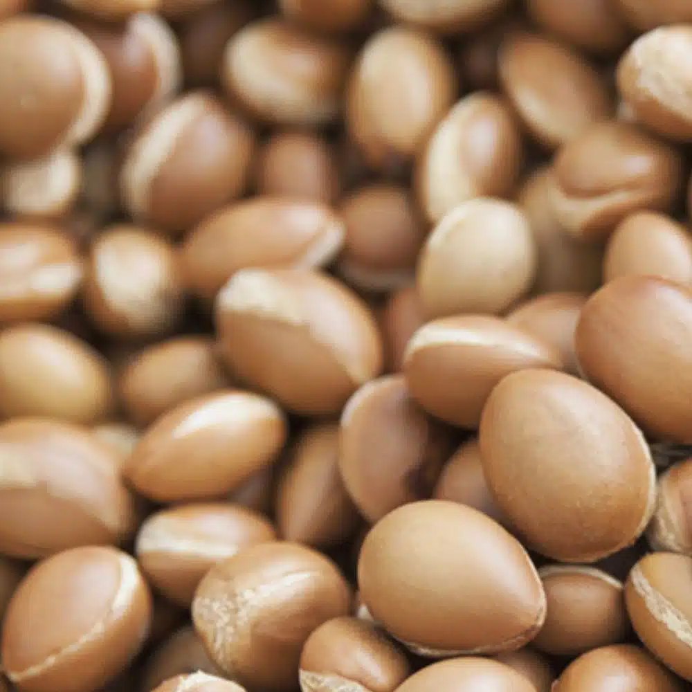 Bioclin Bio - Argan, arganovo olje za lase (100 ml) 