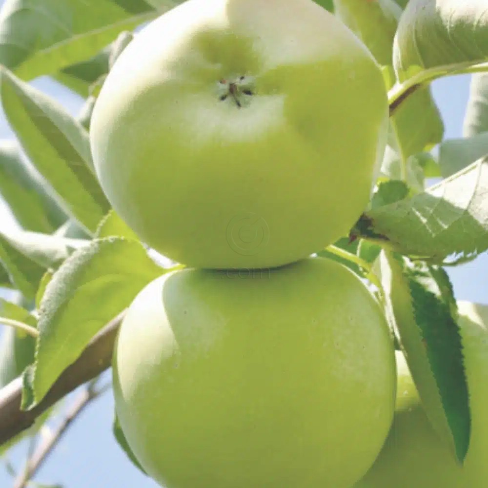 Bioclin Bio - Hydra, vlažilna maska za lase (200 ml)