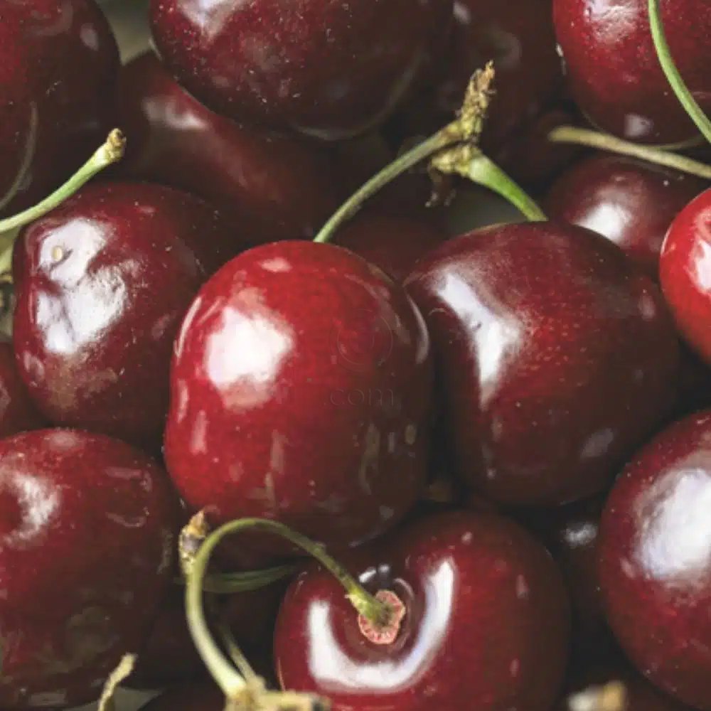 Bioclin Bio-Volume, šampon za volumen las (200 ml)