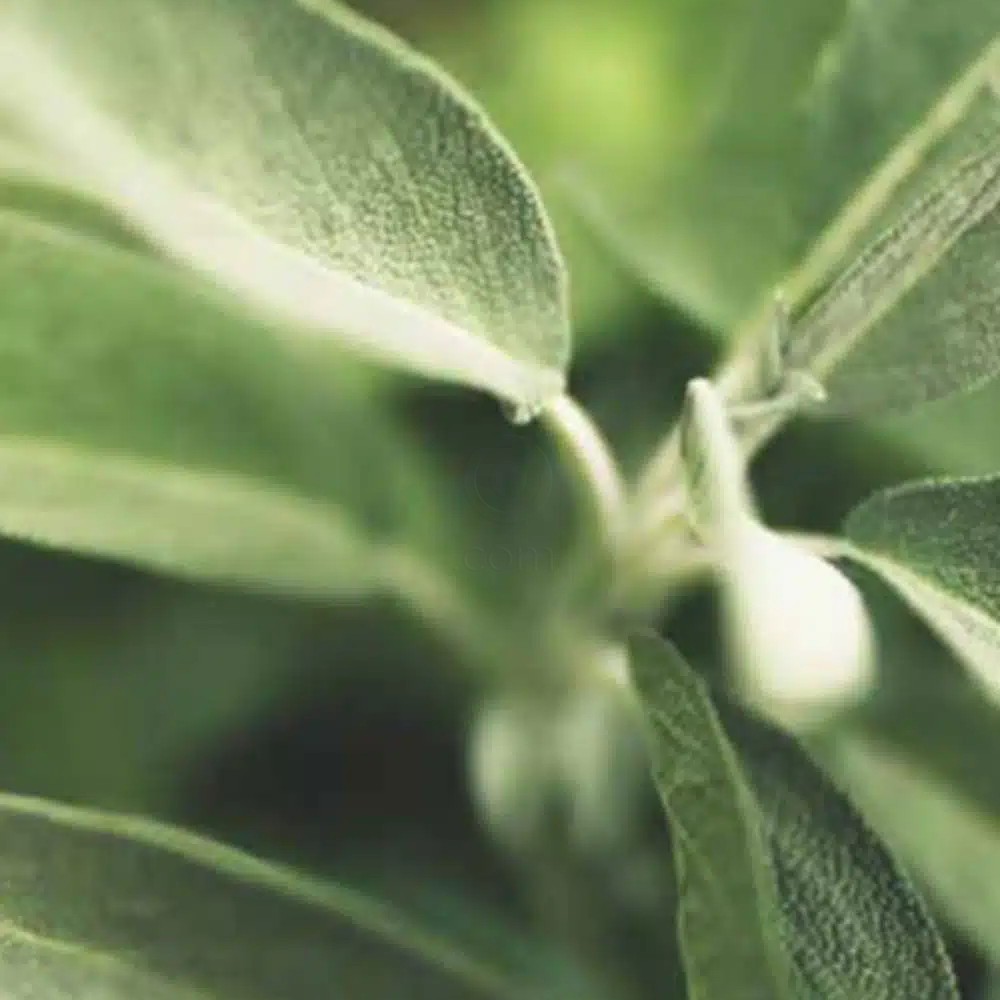 Bioclin Deo Allergy vapo, pršilo (100 ml)