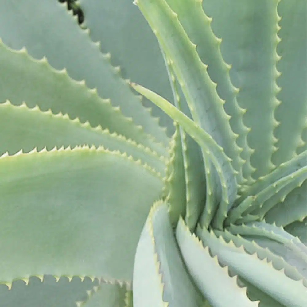 Bioclin Deo Control Dry, sprej (150 ml)