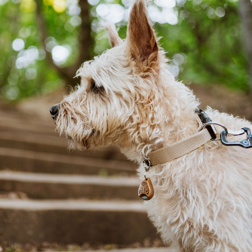 Tickless Pet, ultrazvočni odganjalec klopov in bolh za mačke in pse - ECO  (1 naprava)
