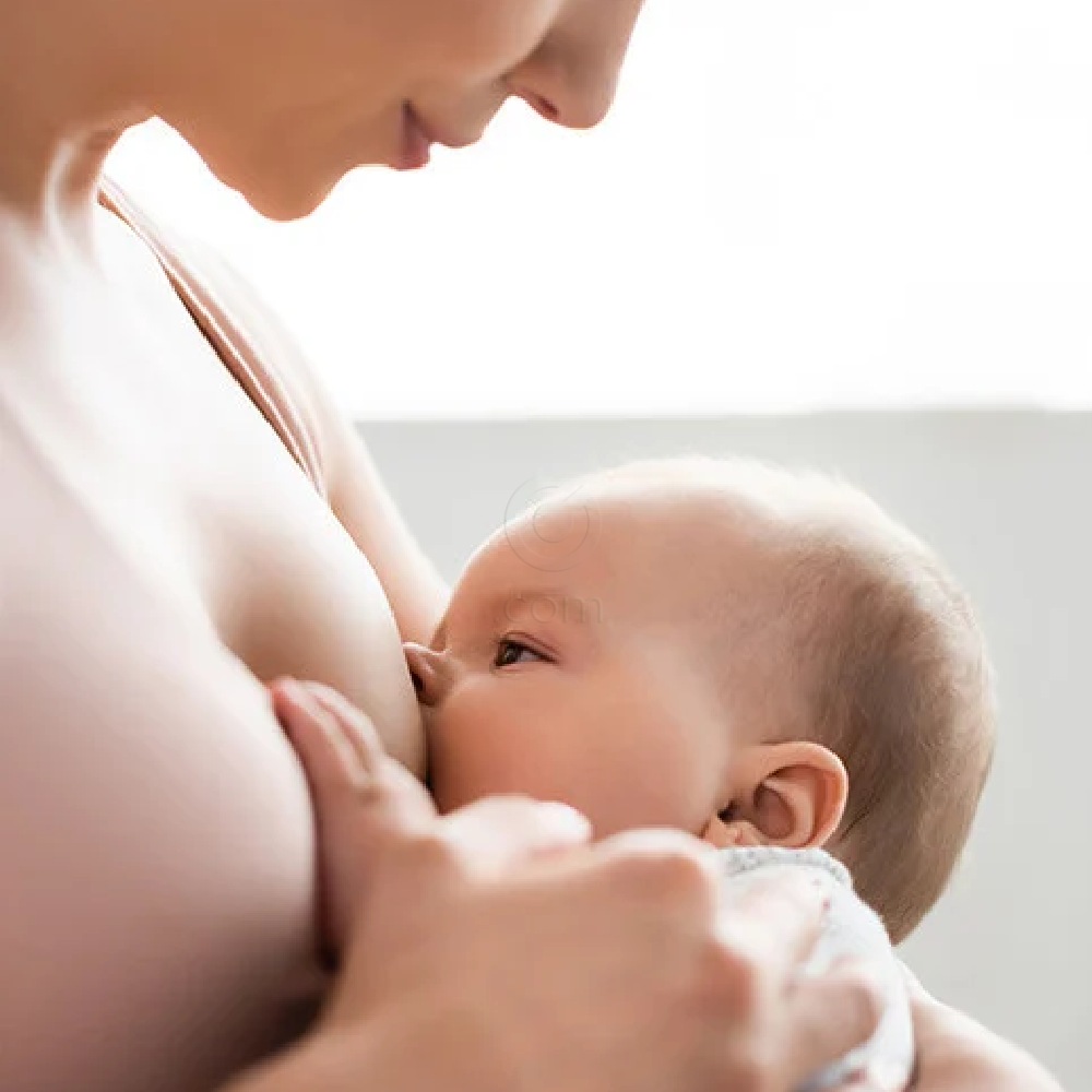 Biarritz Alga Cicosa BIO, zaščitni balzam za prsne bradavičke (40 ml)