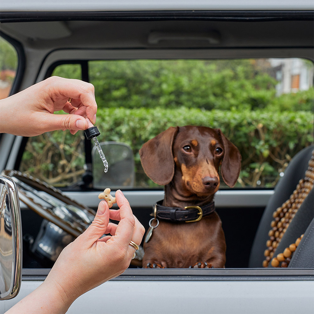 Bach Rescue Pets, kapljice za hišne ljubljenčke (10 ml)