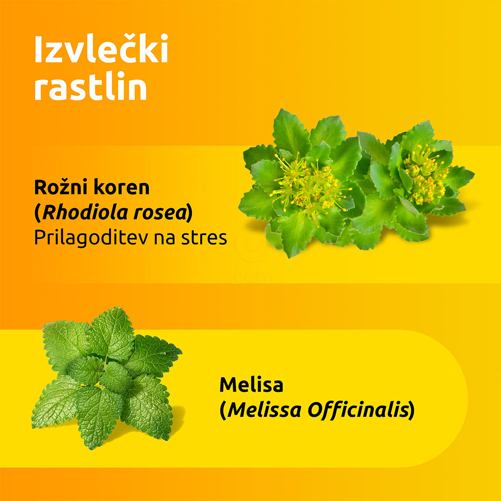 Supradyn Energija No Stress, prašek v vrečicah (20 vrečic)