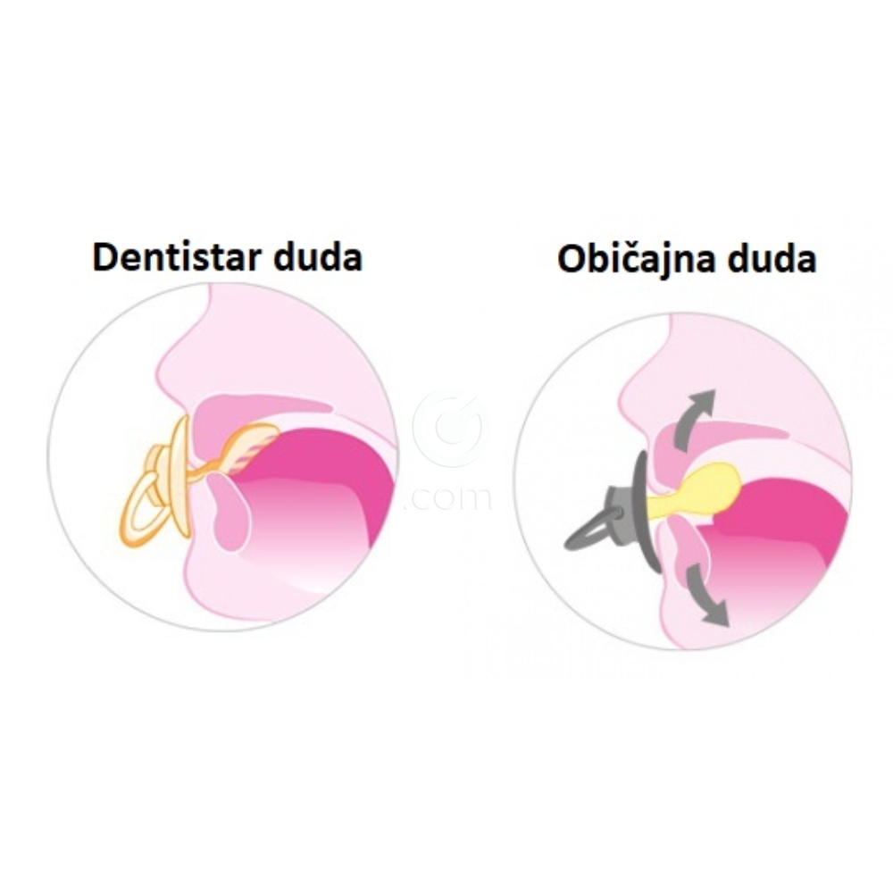 Dentistar, ortodontska silikonska duda z obročkom (2 dudi + higienska škatlica)