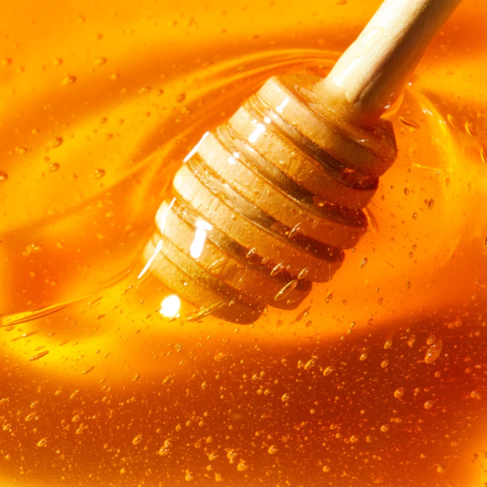 Nuxe Reve De Miel, medeni balzam za ustnice - lonček (15 ml)