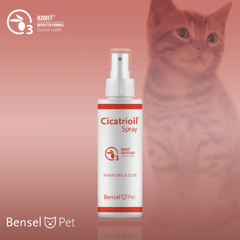 Cicatrioil, pršilo (20 ml)