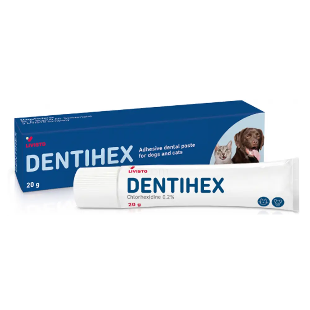 Dentihex, dentalna adhezivna pasta za pse in mačke (20 g)