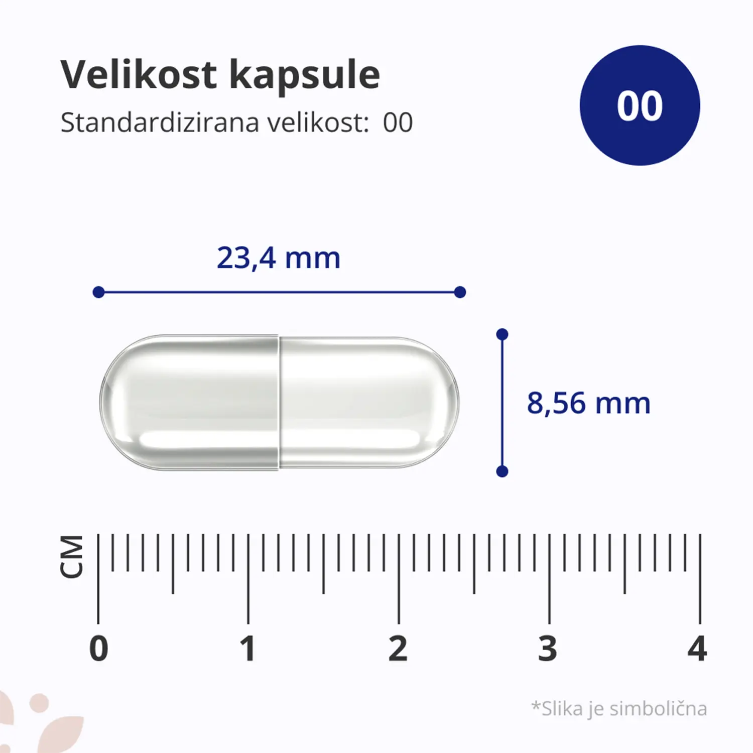 HealthyWorld Liposomski vitamin C 1200 mg, kapsule (240 kapsul)