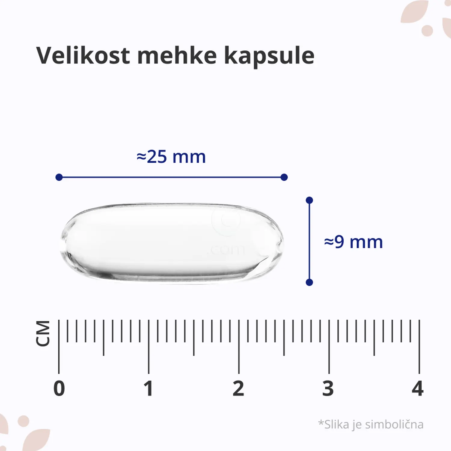 HealthyWorld Omega-3 1000 mg, mehke kapsule (365 kapsul)