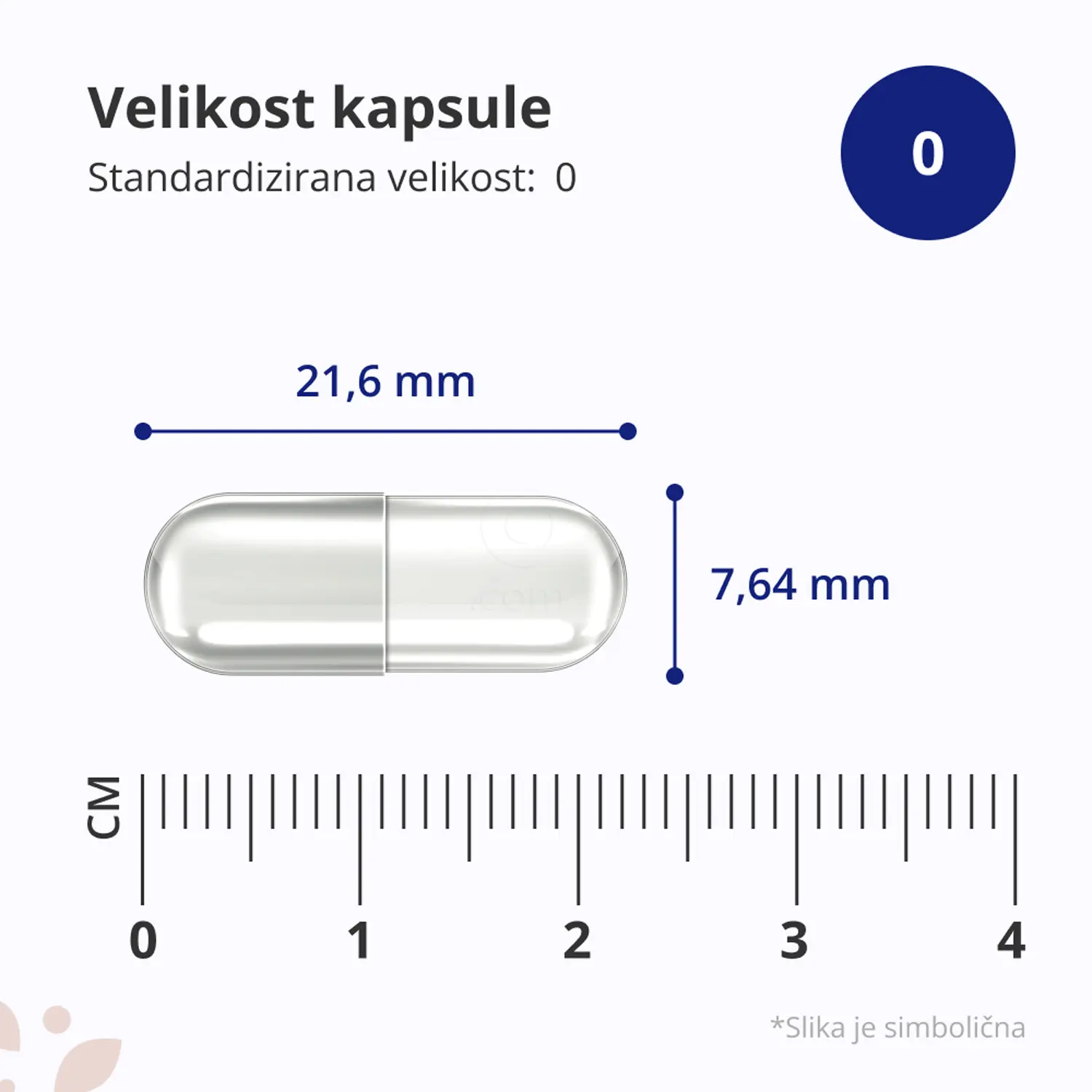HealthyWorld Probiotic Culture, kapsule (120 kapsul)