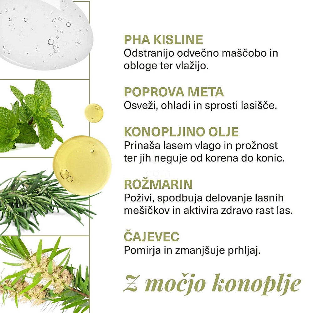 Hemptouch Revive, čistilni šampon (250 ml)