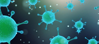 stafilokokne bakterije