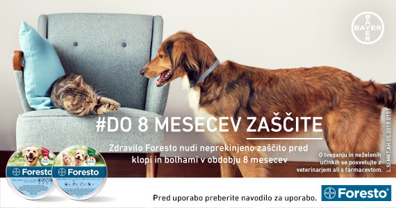 foresto ovratnica