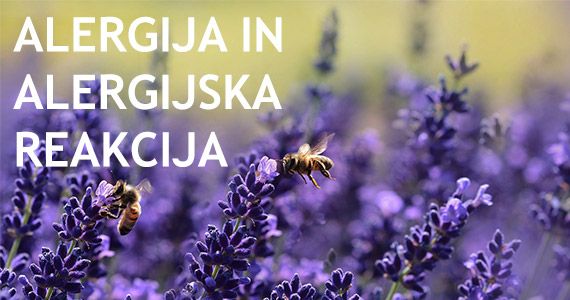 Alergijske reakcije - kako jih prepoznamo in kako reagirati.