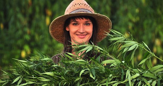 Konopljino olje in CBD smola - učinkovito nad kožne težave in akne.