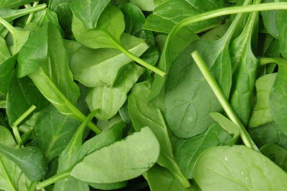 Magnezij - pomemben mineral za ohranjevanje zdravja