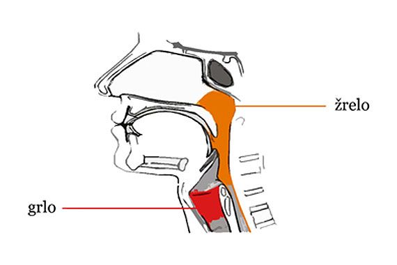 Bolečina v grlu ali žrelu